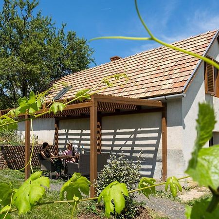 Tagyon Birtok Mandula Apartmanhaz Exterior foto